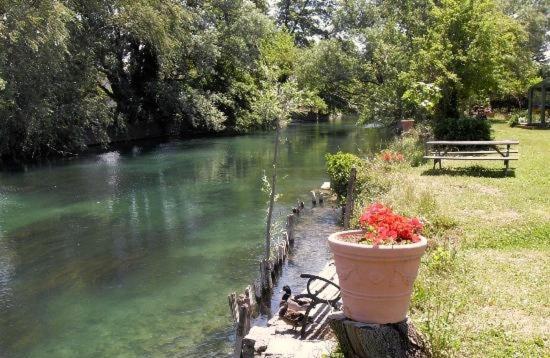 Mas Le Pont Des Aubes Panzió L'Isle-sur-la-Sorgue Kültér fotó
