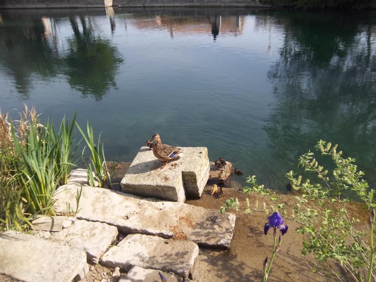 Mas Le Pont Des Aubes Panzió L'Isle-sur-la-Sorgue Kültér fotó