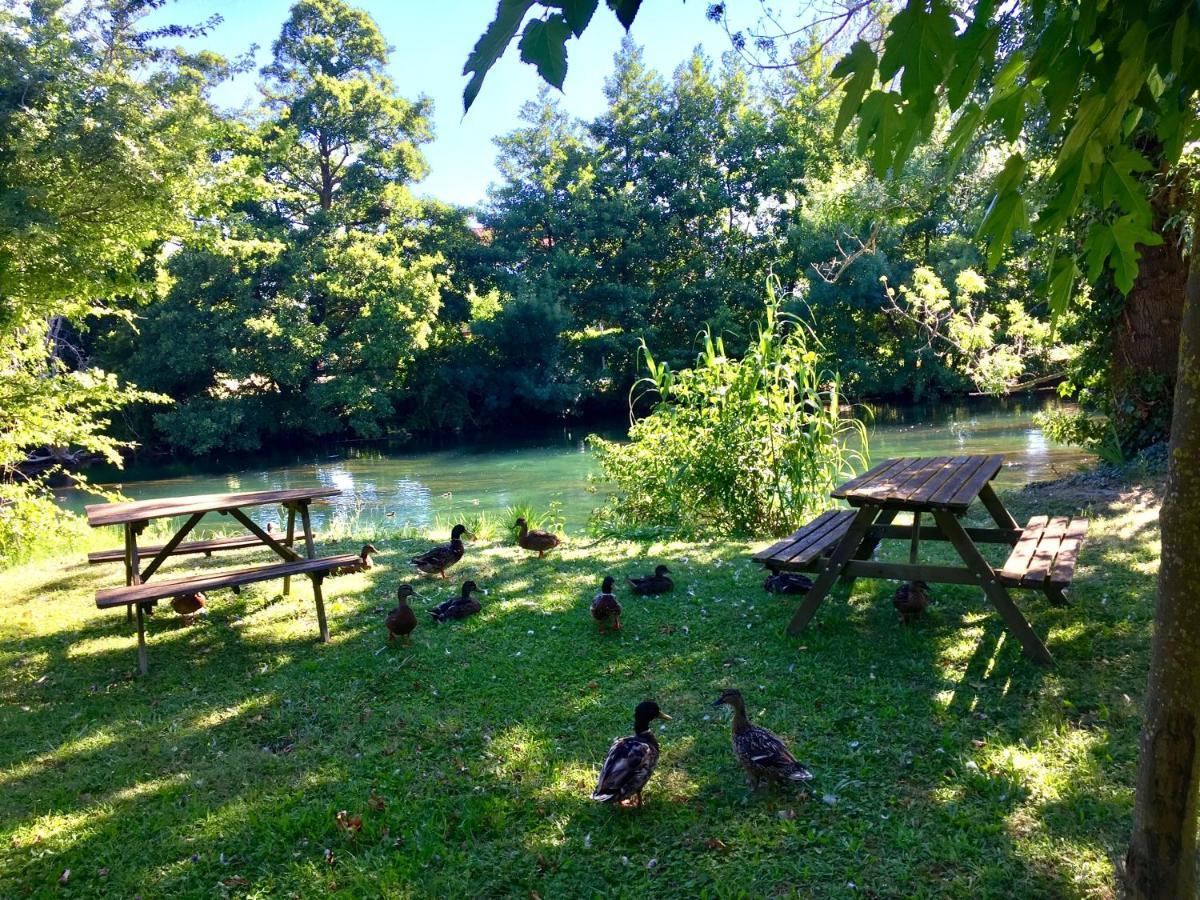 Mas Le Pont Des Aubes Panzió L'Isle-sur-la-Sorgue Kültér fotó